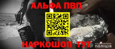 кокс Кингисепп
